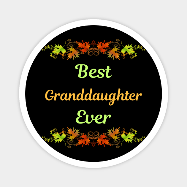 Family Leaf 2 Granddaughter Magnet by blakelan128